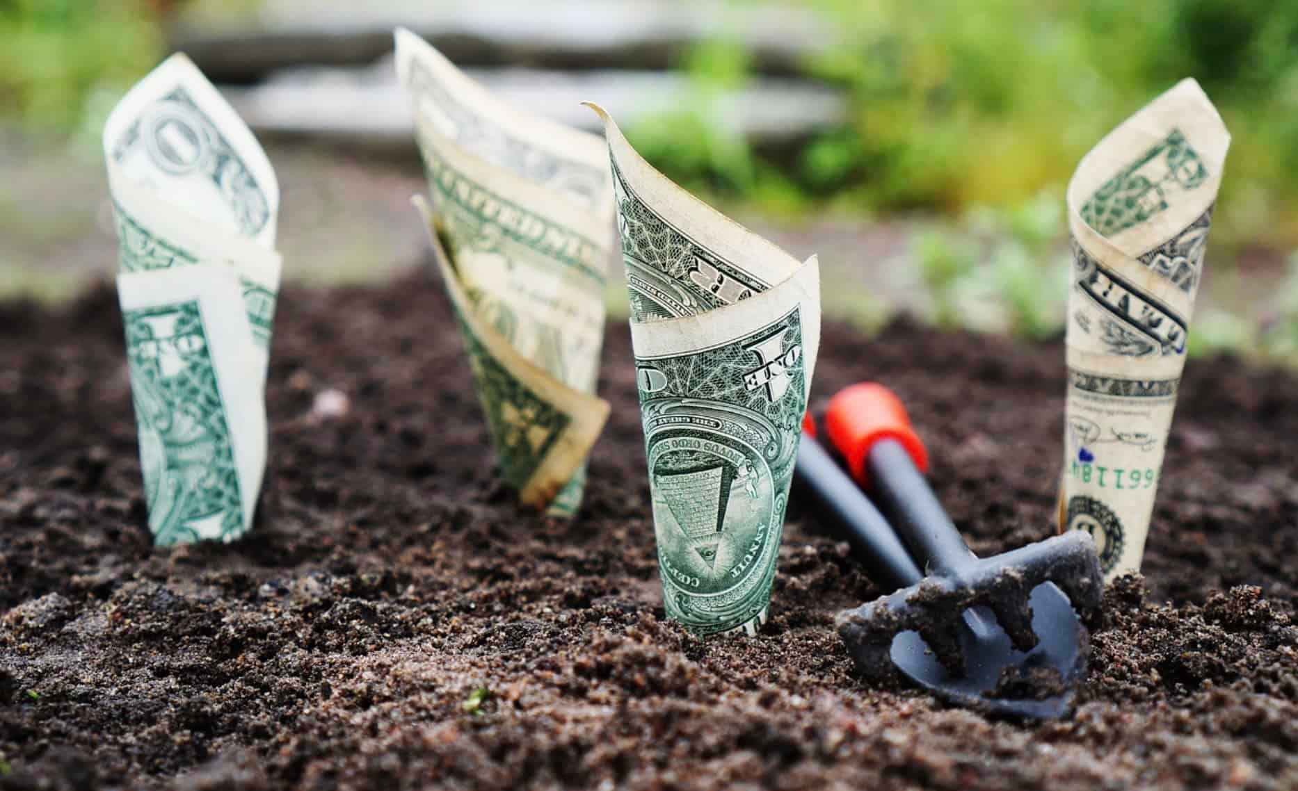 Czy na zakładach sportowych można zarobić u legalnych bukmacherów